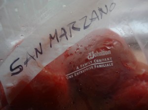 2011 Emme's Bday, freezing tomatoes 031