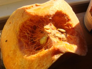 Calabaza