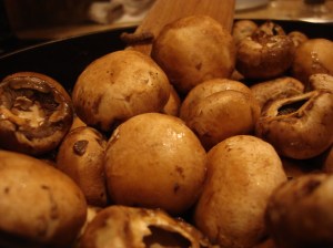 A tumble of mushrooms