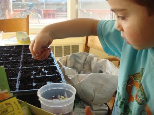 Leandro experiments with watering techniques