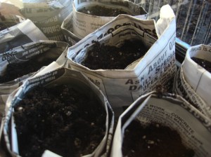 The newspaper cups look good!