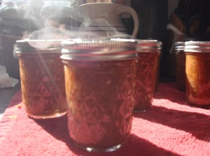 steamy hot from the pot