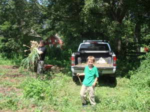 Helping out with garlic harvest at Restoration Farm (in 100 degree heat!?!)