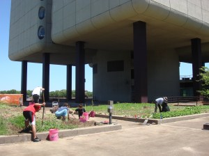 An unusual location that makes perfect sense...a farm on a hospital roof!