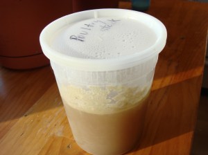 I have two whole quarts in my parents' freezer, but I am too lazy to go downstairs and photograph them....