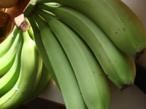 Yup. they are banans. But they are green.