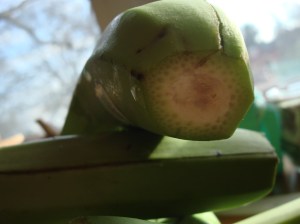 If you look carefully, you can see the sticky stuff leaking onto the peel