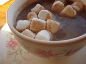 2014-01-30 04.32.27 chocolate 