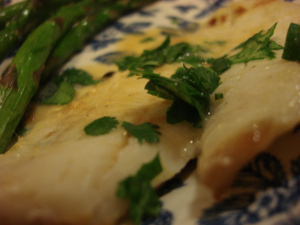 BRoiled Lemon Flounder (kid-friendly!)