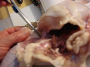 Cutting the skin to release the legs (photo by Leandro de Cuba)