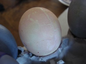 This is the best we got from the canned beet juice. It is worth it to do the real thing.