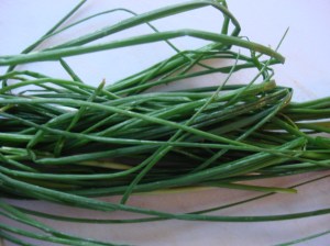 A healthy bunch of onion grass. You will have to pick through your harvest.