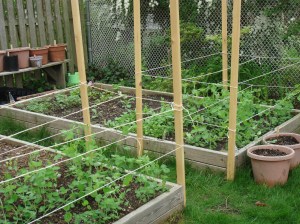 Looking good! Who woulda thunk it?