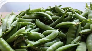 Quite a haul! We can freeze what we don't use. But we'll use it all before that happens.