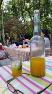 Spuyten Duyvil rocking the farm